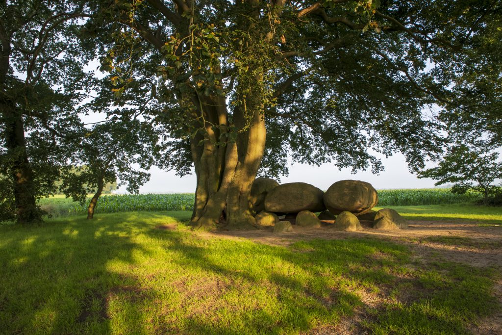 Hunebed D21 bij Bronneger