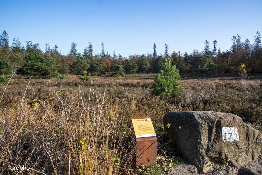 Wandelroute in het spoor van de Mammoet