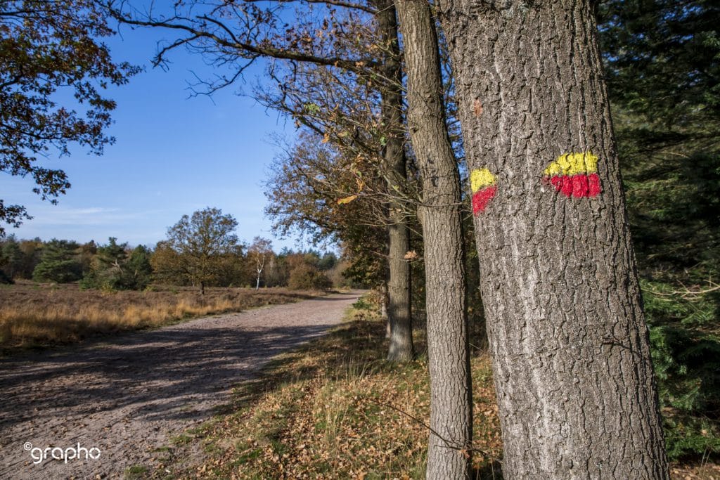 Unieke Ontdekkingstocht: Geopark De Hondsrug vanuit Hotel De Meulenhoek