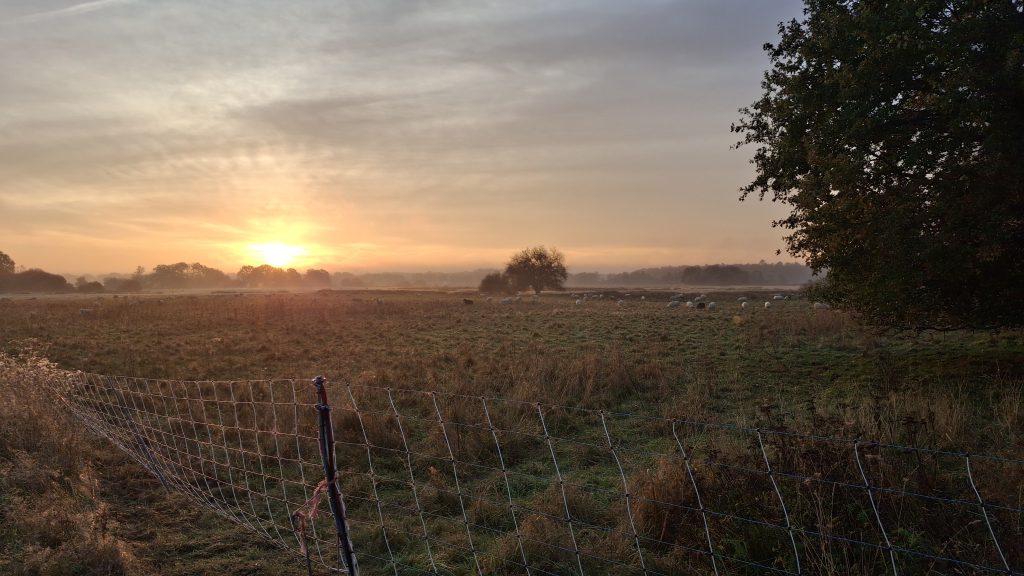 Wandelroute rondje over de hei bij Exloo
