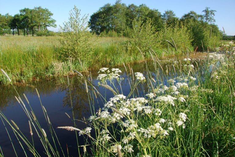 Lofar Exloo fietsroute 50,7 km